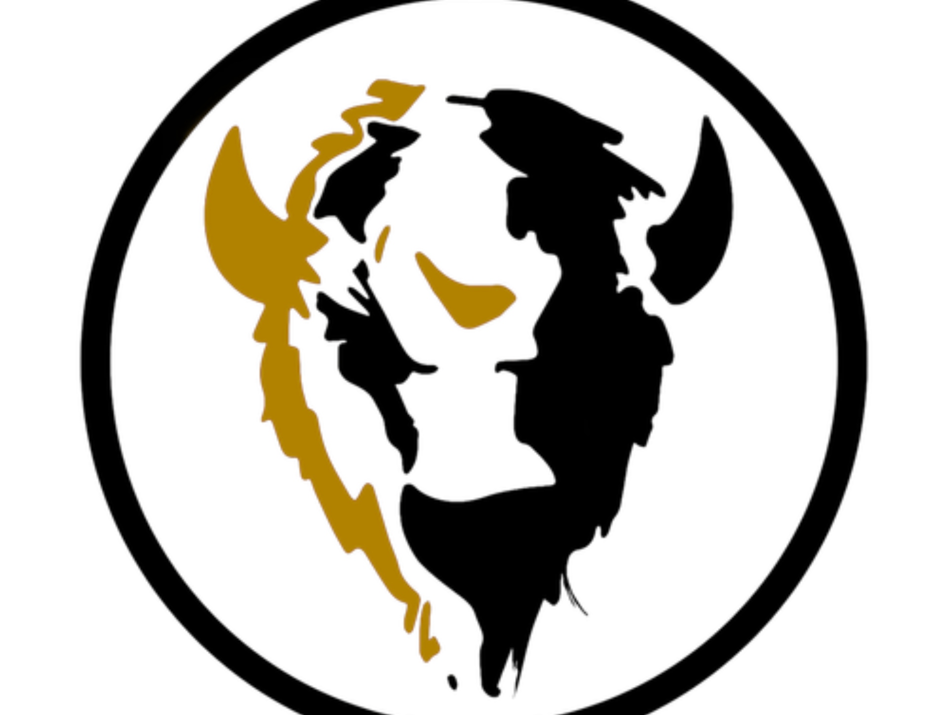 Floor Vision Logo Background